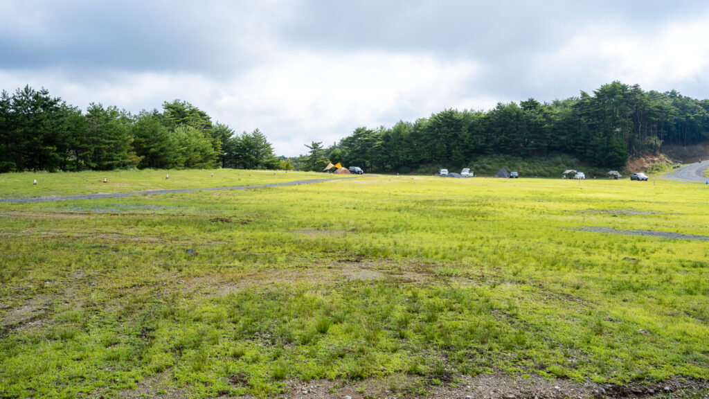 サイトはかなり広い